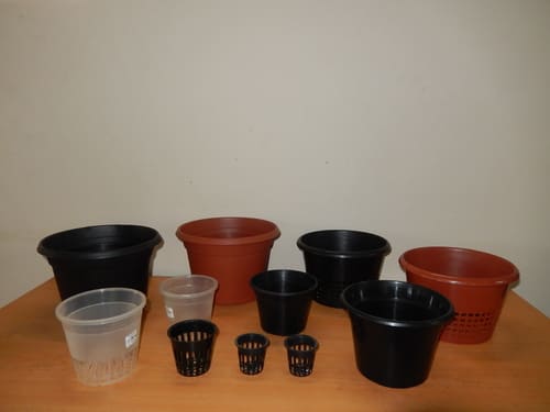 Pots & Containers
