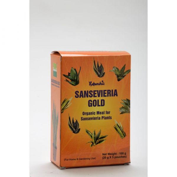 Sansevieria Gold